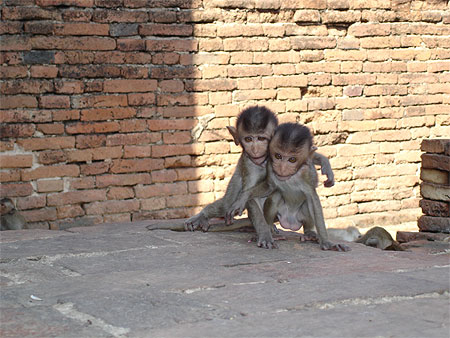 Tendresse