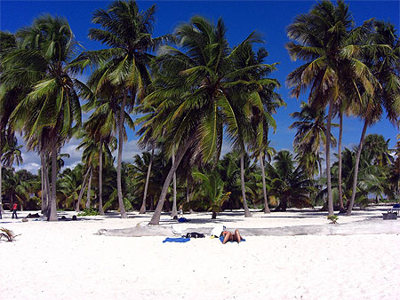 Saona, plage déserte au bout de l'île...
