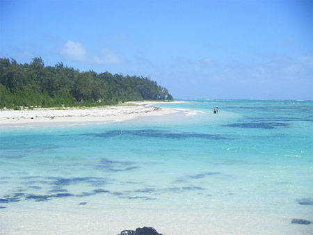 A l'ile aux cerfs