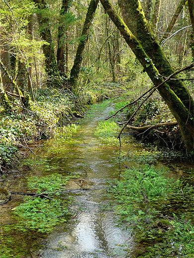 Ruisseau