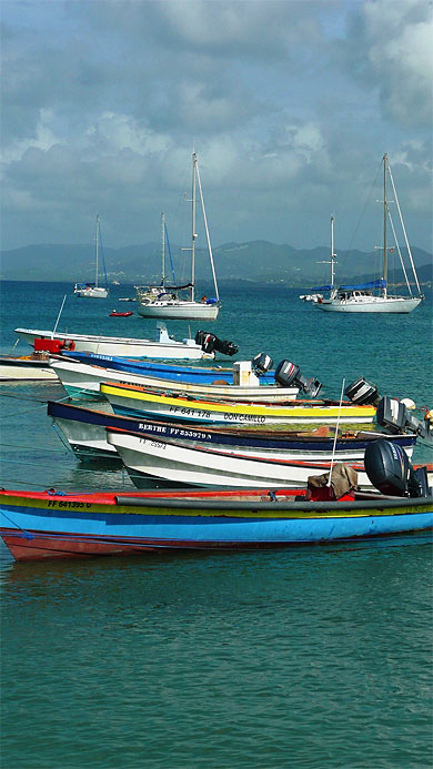 Sainte Anne - Yoles et Bateaux