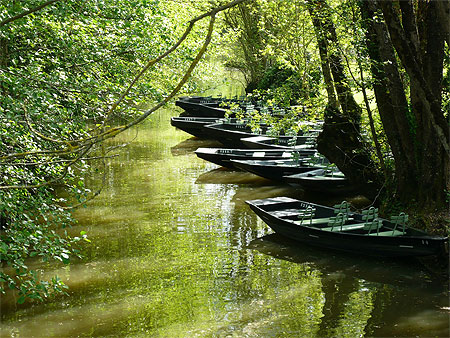 Barques sur une conche