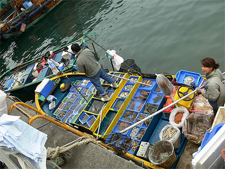 Marché aux poissons HONG KONG