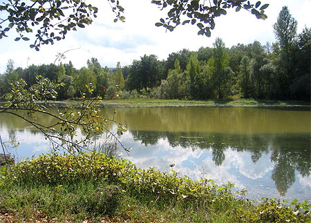 Lac de Montbel