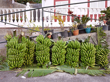 Bananes