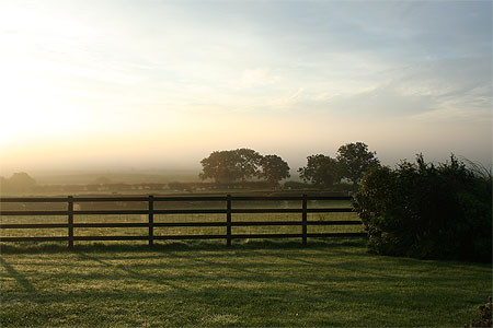 Campagne Irlandaise au petit matin