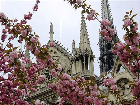 Notre Dame
