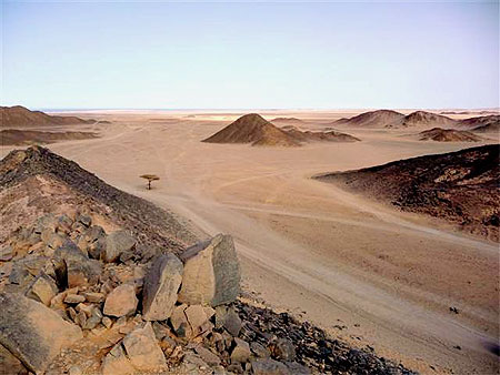Le désert