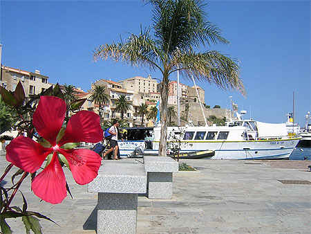Port de Calvi 