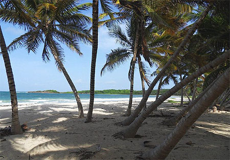 Plage de Grand Macabou