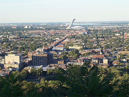 Le stade olympique vu du mont Royal