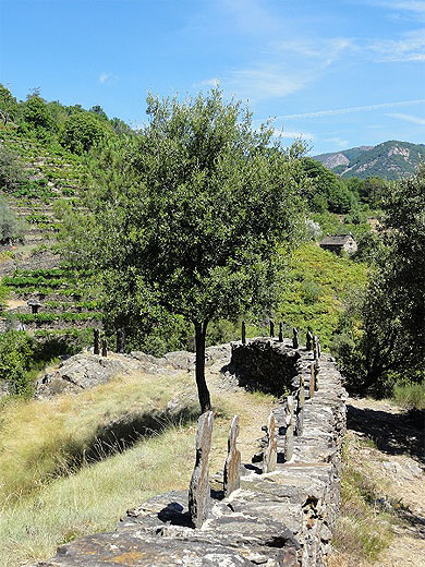 Randonnée de 15 km autour de St Mélany