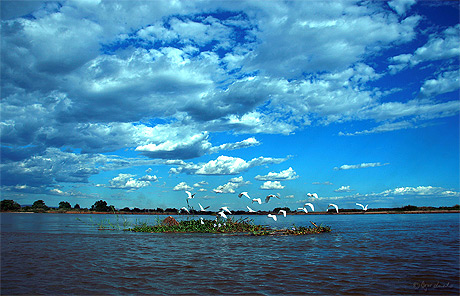 Piroguer sur la rivière Tsiribihina à Madagascar