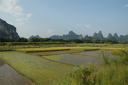 Rizières et Monts Karstiques