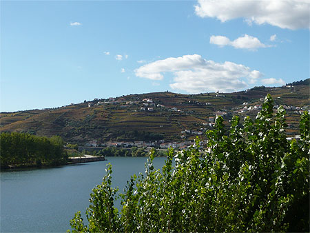 Vignoble du Douro
