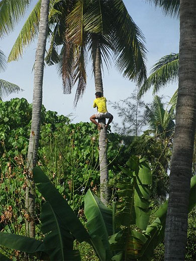 Ko Lipe