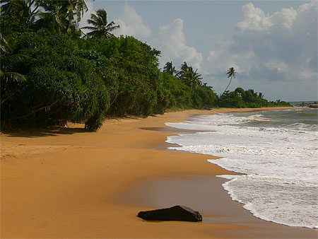Plage