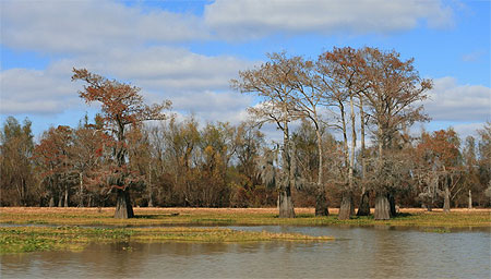 Atchafalaya river