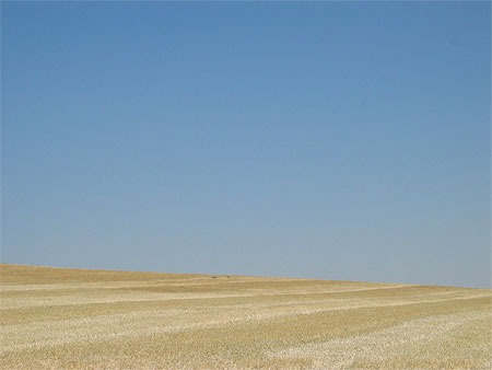 Paysage d'été