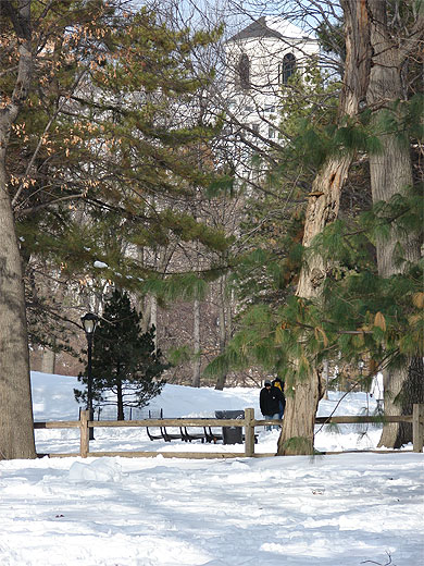 Central Park sous la neige