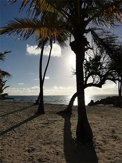 Soleil couchant sur la plage de Sainte - Anne