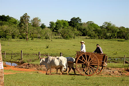 Transport "en commun"