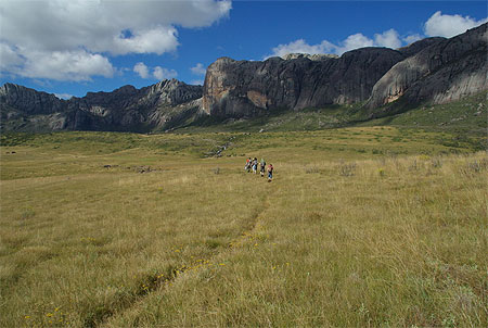 Into the wild