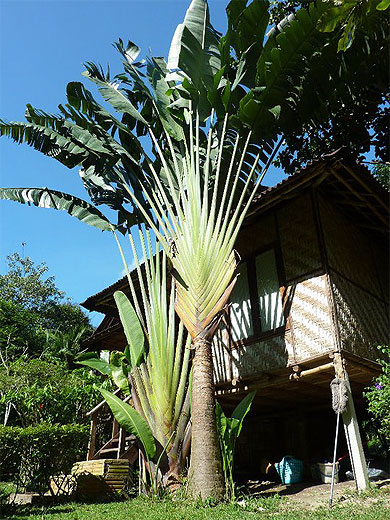 Railay