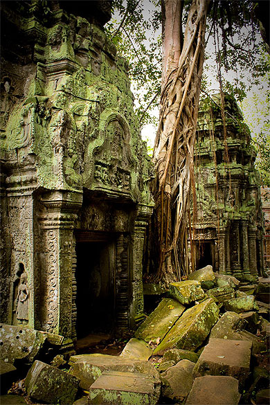 Temple Ta Prohm