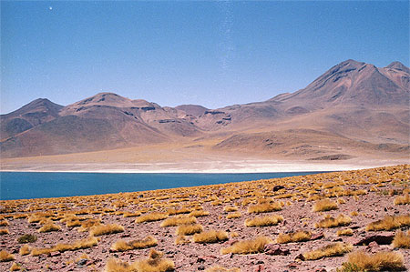 Laguna colorada
