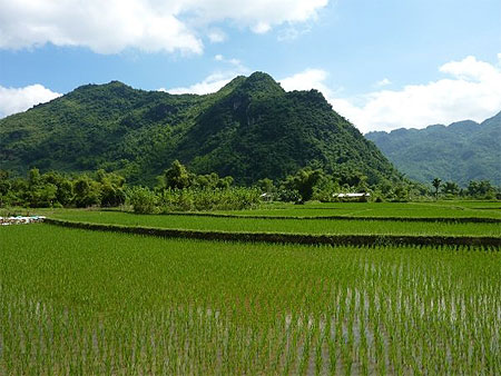 Mai Chau