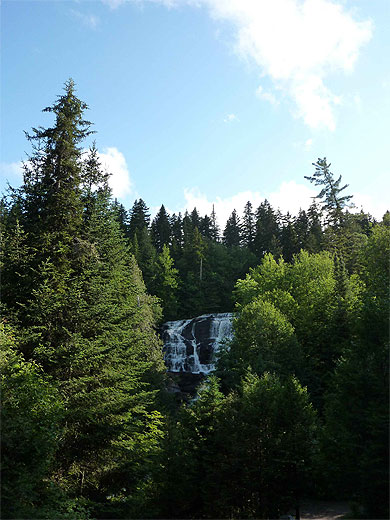 Cascade aux rats
