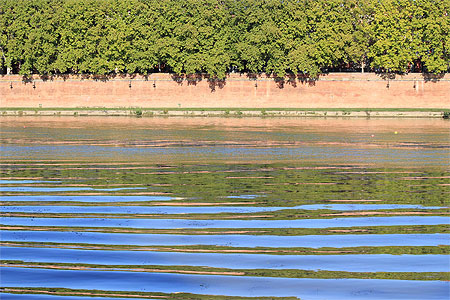 Toulouse - La Garonne et ses platanes
