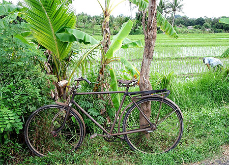 Vélo