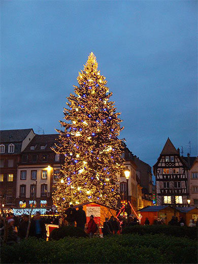 Sapin de Noël de la place Kléber