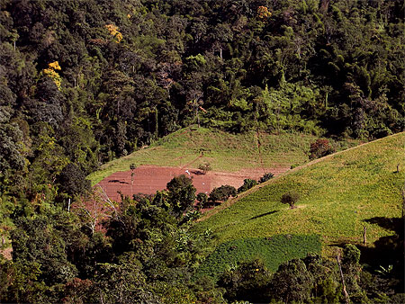 Entre forêt et campagne