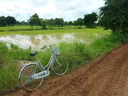 La campagne autour de Battambang