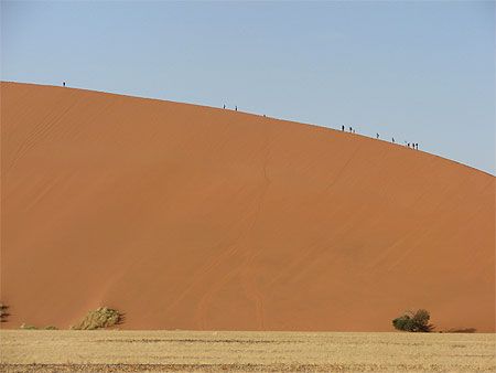 Dune 45