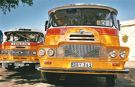Bus maltais
