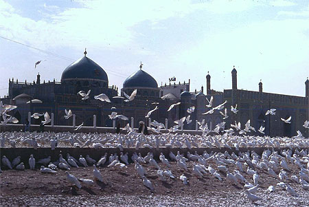 Mosquée Sanctuaire de Mazar-i-Charif