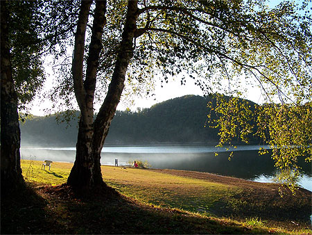 Brume sur le lac