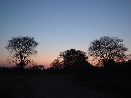 C'est l'Afrique