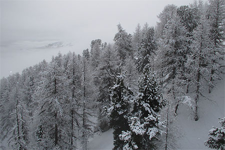 La neige et le brouillard tombent