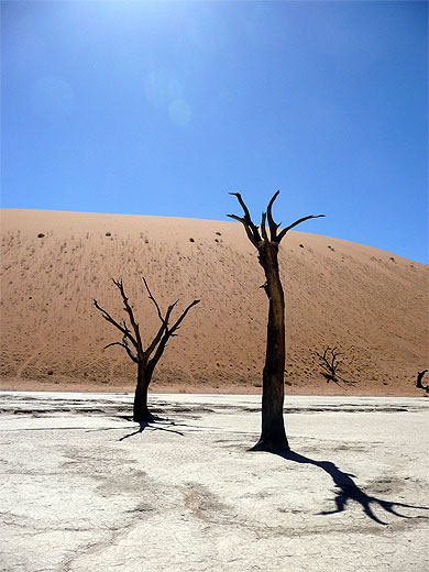 Dead Vlei