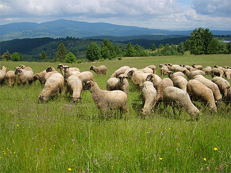 Campagne en Slovaquie centrale