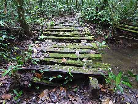 Photo Guyane