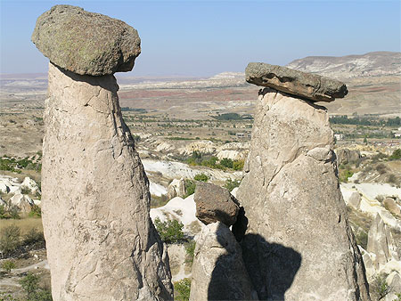Demoiselles coiffées
