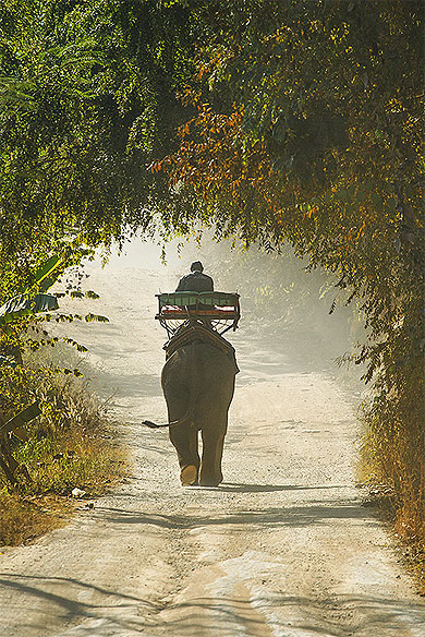 Chiangrai Rummit