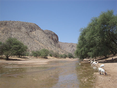 Fleuve dans le Kaokoland