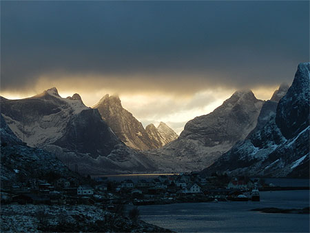 Reine 